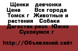 Щенки - девчонки › Цена ­ 2 - Все города, Томск г. Животные и растения » Собаки   . Дагестан респ.,Южно-Сухокумск г.